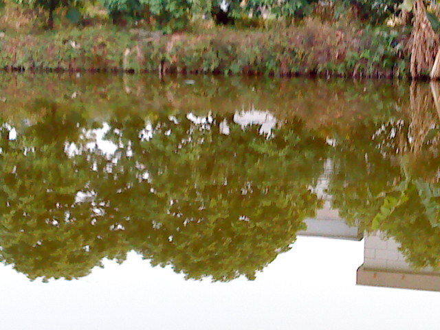 ˵