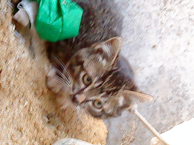 ˵