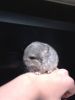 ~My chilla~
