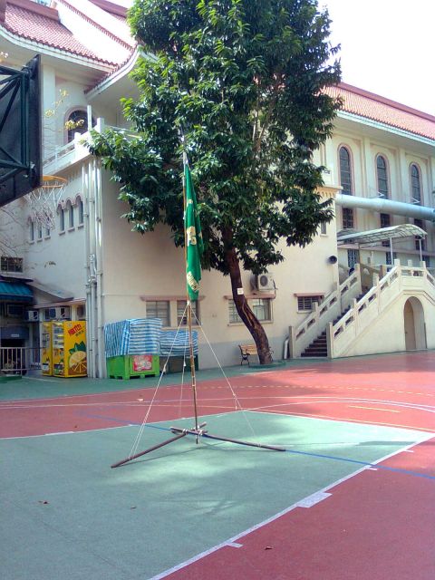 ˵