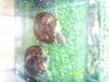 �ڪ��t�J