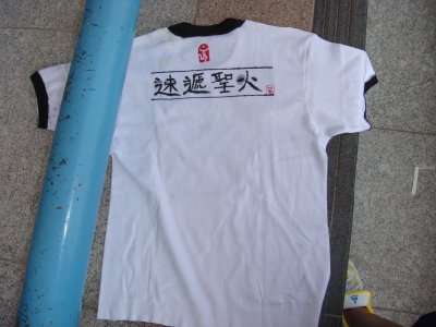 ˵