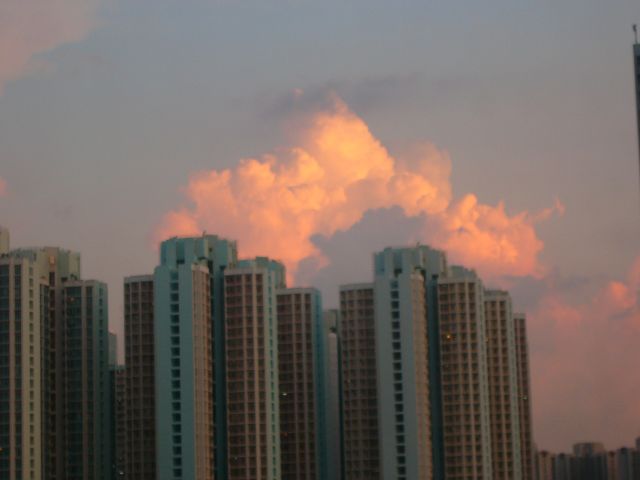 ˵