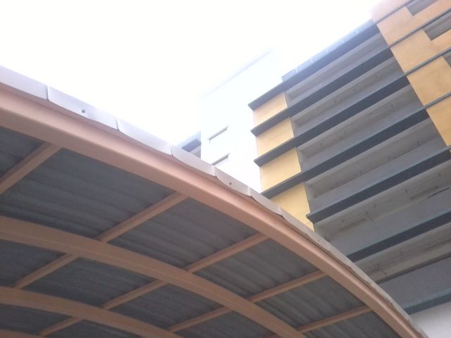 ˵