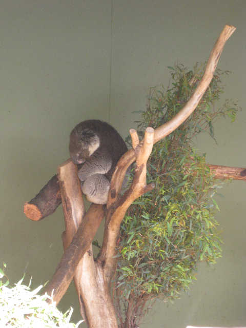 �˵����