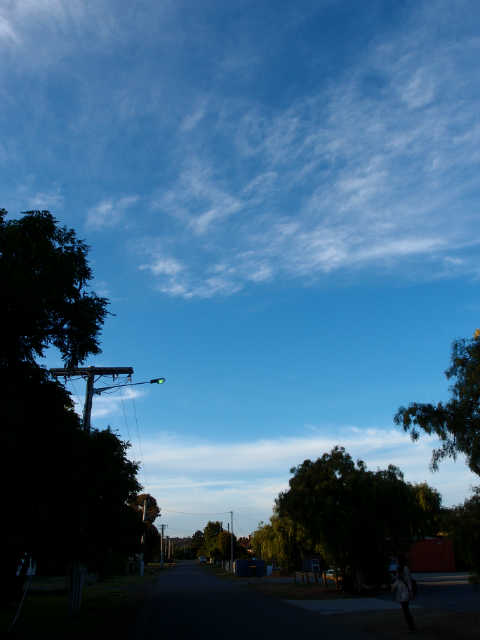 ˵