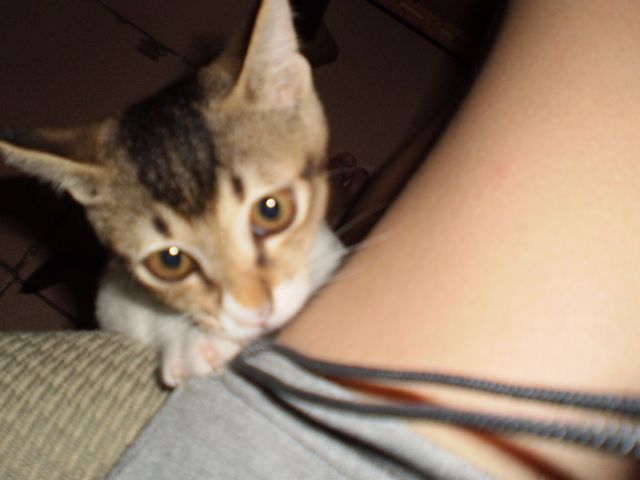 ˵