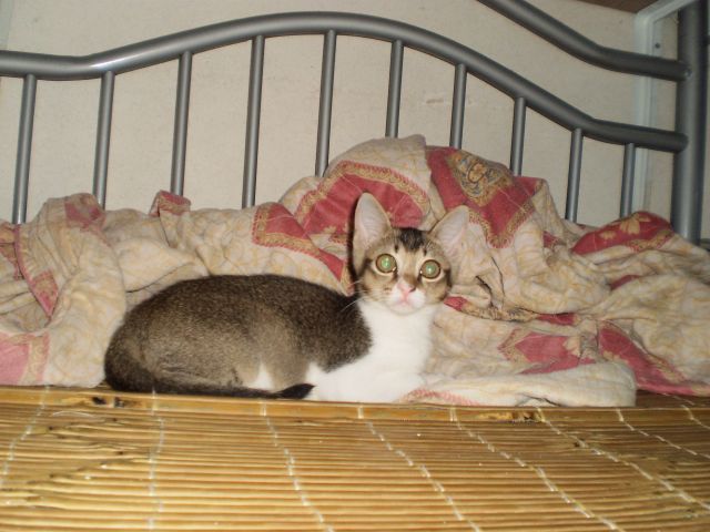 ˵