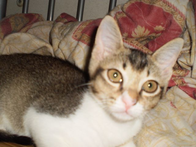 ˵