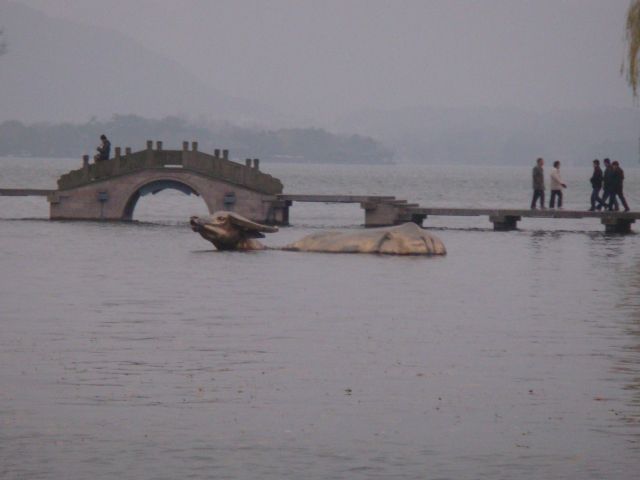 ˵