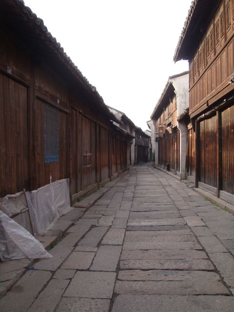 ˵