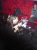Momo Birthday Party