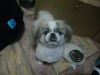 �_��lucky