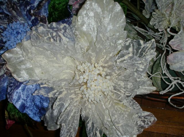 ˵