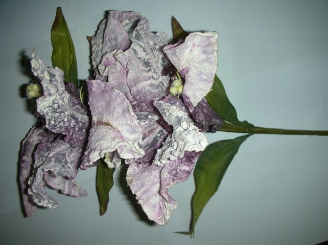 ˵