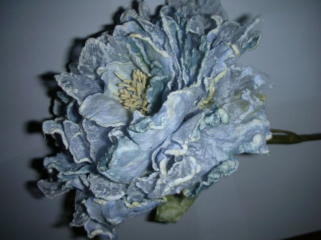 ˵