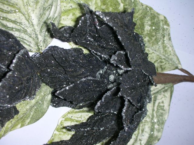 ˵