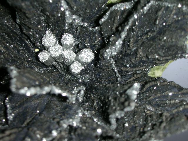 ˵