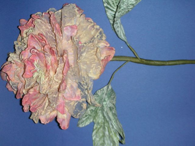 ˵