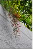 091125�Ȱ|���