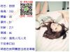�����~�e��LINE:tw91