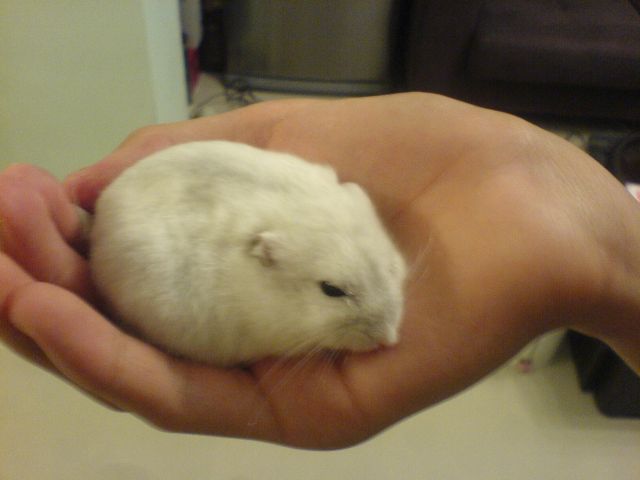 ˵