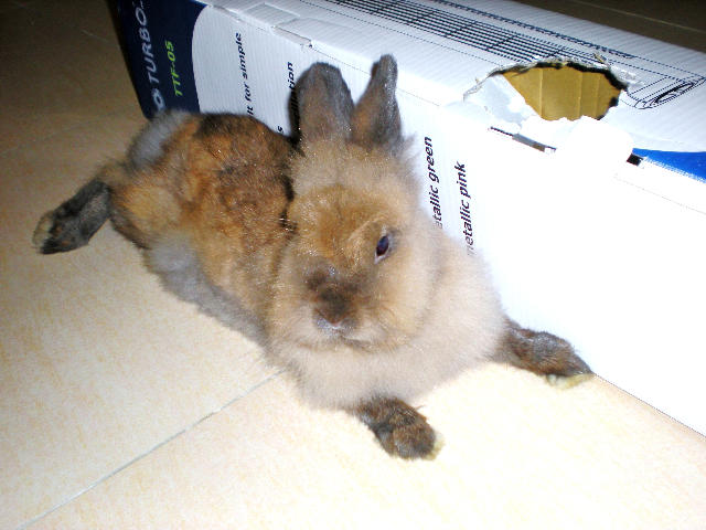 ˵
