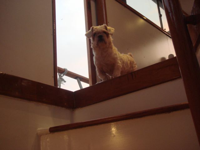 ˵