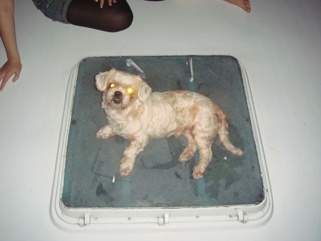 ˵