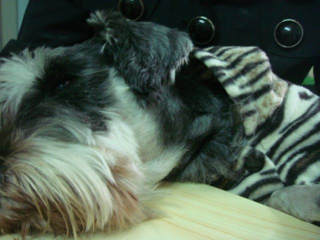 ˵