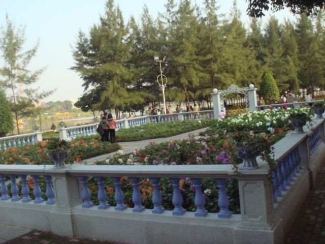 ˵