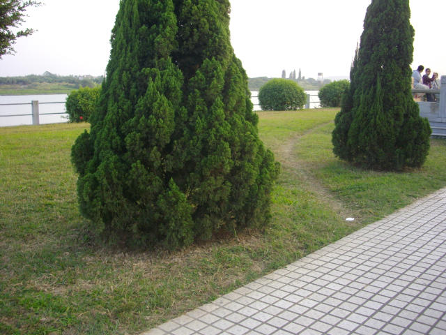˵
