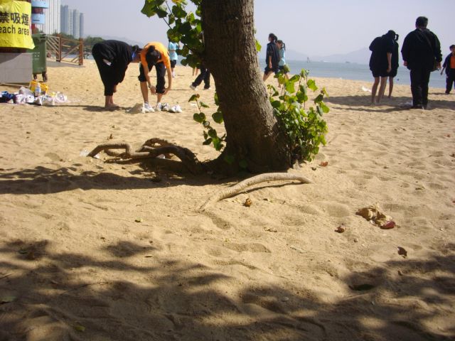 ˵