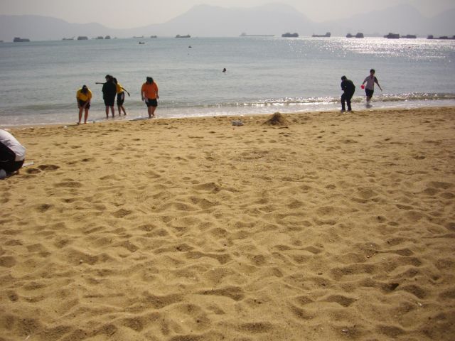 ˵