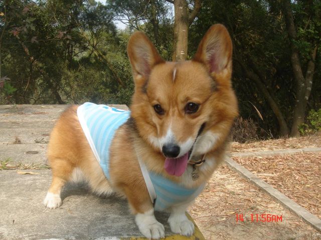 ˵