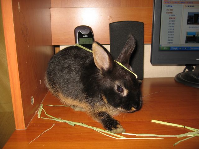 ˵