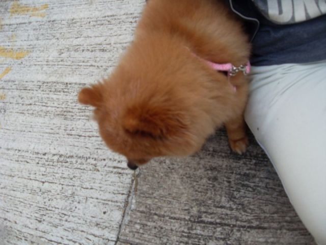 ˵