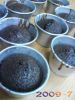cake�J