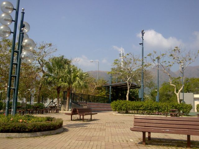 ˵